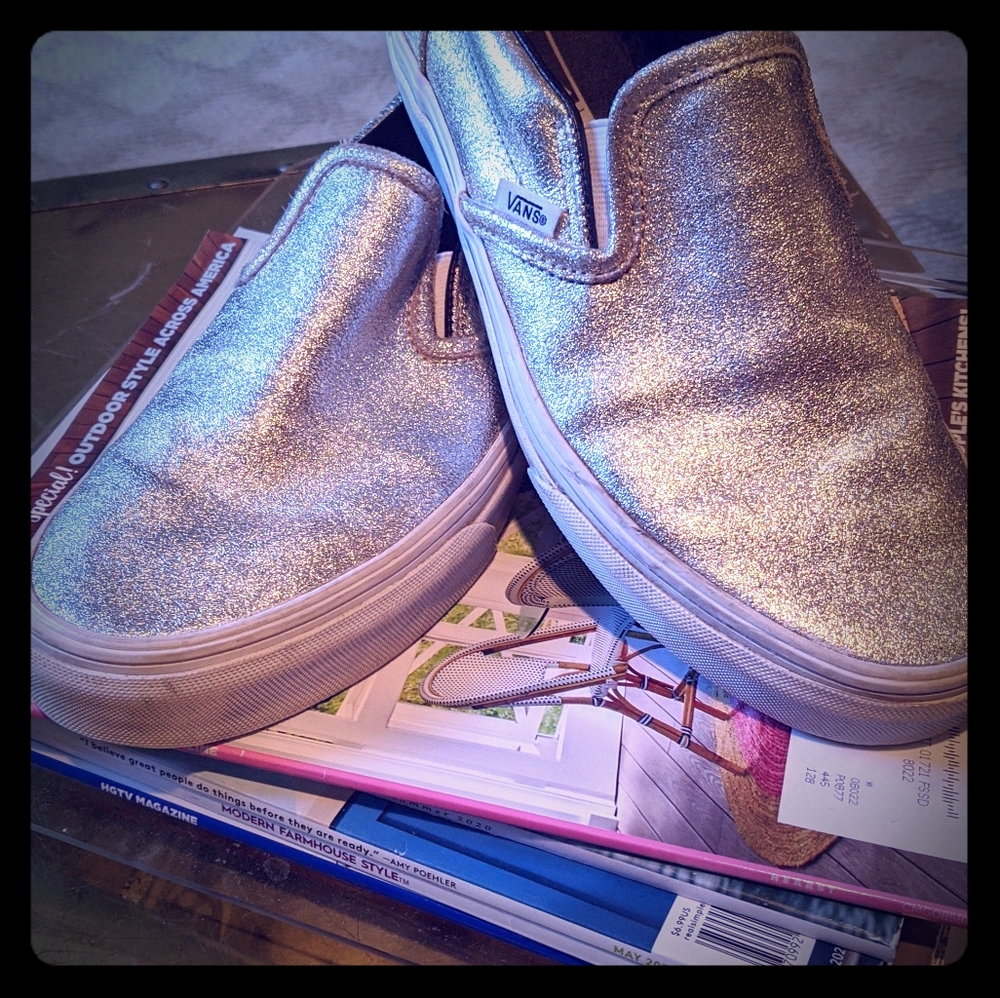 Vans silver